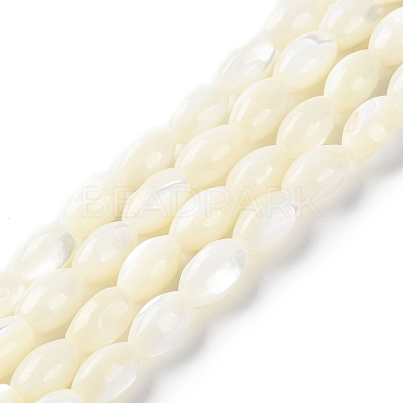 Natural Trochus Shell Beads Strands X-BSHE-E030-02C-1