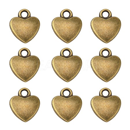 Tibetan Style Alloy Charms LS-MLF1170Y-1