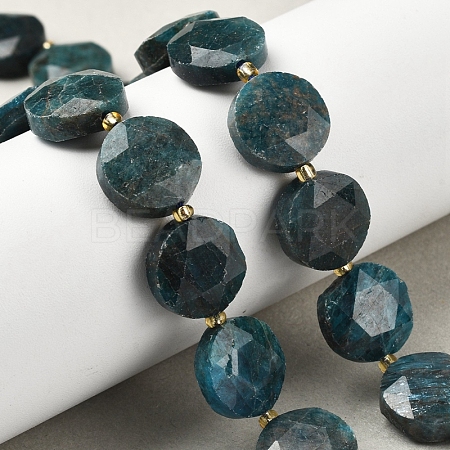 Natural Apatite Beads Strands G-C116-A159-03-1