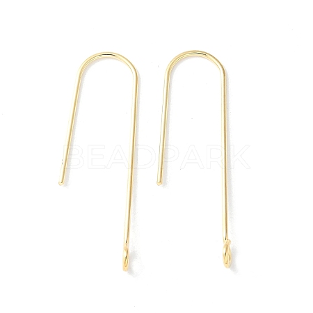 316 Surgical Stainless Steel Earring Hooks X-STAS-Z124-02D-G-1