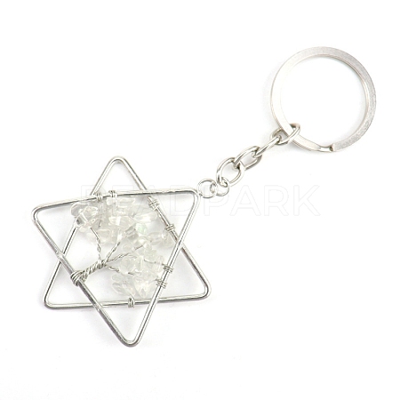 Gemstone Keychains PW-WG361CF-01-1