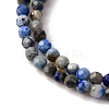 Natural Lapis Lazuli Beads Strands G-L629-B01-2mm-03-4