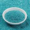MIYUKI Round Rocailles Beads X-SEED-G009-RR0647-2