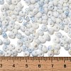Baking Paint Glass Seed Beads SEED-F006-01A-02-4