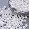 Baking Paint 8/0 Glass Seed Beads SEED-Q025-3mm-L32-1