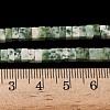 Natural Green Spot Jasper Beads Strands G-A280-C14-01-6