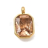 304 Stainless Steel with Rhinestone Pendants STAS-Z179-37G-01-1