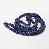 Natural Lapis Lazuli Beads Strands X-G-F328-29-2