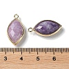 Natural Lepidolite/Purple Mica Stone Pendants G-B009-01G-01-3