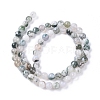 Natural Tree Agate Beads Strands X-G-L533-22-3