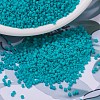MIYUKI Delica Beads SEED-JP0008-DB0793-1