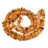 Natural Freshwater Shell Beads Strands SHEL-S278-071C-2