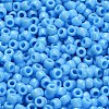 TOHO 6/0 Round Beads SEED-XTR06-0043-4