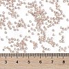 TOHO Round Seed Beads SEED-XTR11-1067-4