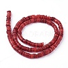 Shell Beads Strands SSHEL-E571-49H-2
