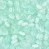 Glass Seed Beads SEED-T007-17L-3