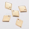 304 Stainless Steel Charms STAS-G179-82G-1