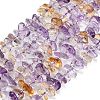 Natural Ametrine Beads Strands G-Z124-A02-02-2