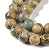 Natural Verdite Stone Beads Strands G-P530-B07-02-4