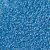 MIYUKI Round Rocailles Beads X-SEED-G007-RR0573-3