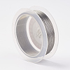 Steel Wire TWIR-E001-0.3mm-2
