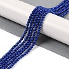 Synthetic Turquoise Beads Strands G-U004-02A-2
