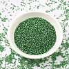 MIYUKI Delica Beads SEED-J020-DB0046-3