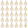   50Pcs Alloy Charms FIND-PH0010-52-1
