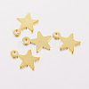 304 Stainless Steel Charms X-STAS-F162-42G-1