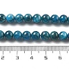 Natural Apatite Beads Strands LS-G-O186-G01-01-4