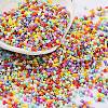 Baking Paint Glass Seed Beads SEED-S042-05B-50-1