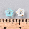 Frosted Transparent Acrylic Beads OACR-N137-72I-4