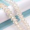 Transparent Glass Beads Strands LAMP-H061-01D-02-2