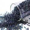 TOHO Round Seed Beads SEED-XTR15-0929-1