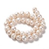 Natural Cultured Freshwater Pearl Beads Strands PEAR-L033-91-3