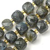 Natural Labradorite Beads Strands G-Q010-A25-01-1