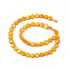 Natural Freshwater Shell Dyed Beads Strands SHEL-K001-001H-2