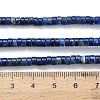 Natural Lapis Lazuli Beads Strands G-Z110-A38-2x4mm-5