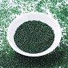 MIYUKI Delica Beads SEED-J020-DB1894-3