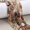 Natural Black Gold Rutilated Quartz Beads Strands G-D101-A16-1