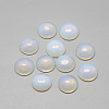 Opalite Cabochons X-G-R416-6mm-49-1