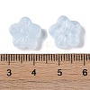 Baking Paint Glass Beads GLAA-S202-06G-3