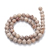 Natural Maifanite/Maifan Stone Beads Strands G-P451-01A-B-4