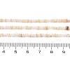 Natural Freshwater Shell Beads Strands SHEL-P017-01A-10-4