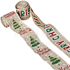 2 Rolls 2 Styles Christmas Printed Linen Ribbon OCOR-GF0002-72-4