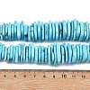 Natural Howlite Beads Strands G-A302-A01-02-6
