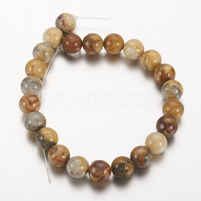 Natural Crazy Lace Agate Round Bead Strands X-G-M272-03-8mm-1