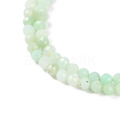 Natural Chrysoprase Beads Strands G-P542-A04-02-1