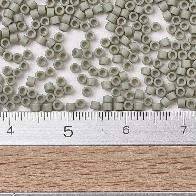 MIYUKI Delica Beads SEED-X0054-DB2282-1