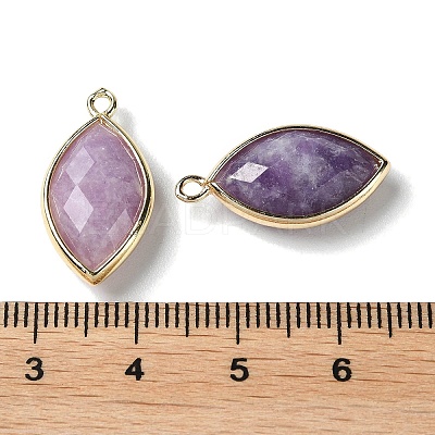 Natural Lepidolite/Purple Mica Stone Pendants G-B009-01G-01-1